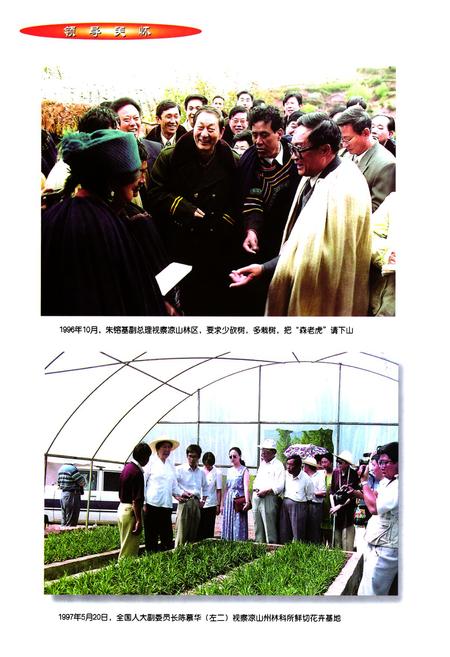 《凉山彝放自治州林业志》.pdf电子版_四川省志插图4