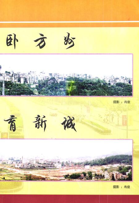 《仪陇县人民政府志(1985-2002)》.pdf电子版_四川省志插图5