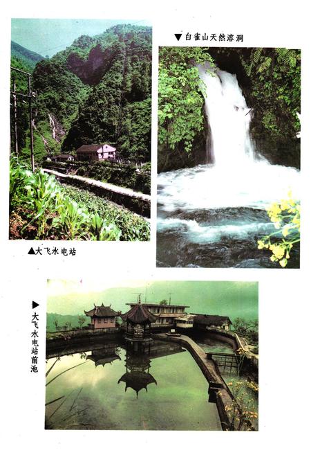 《大邑县电力志》.pdf电子版_四川省志插图5