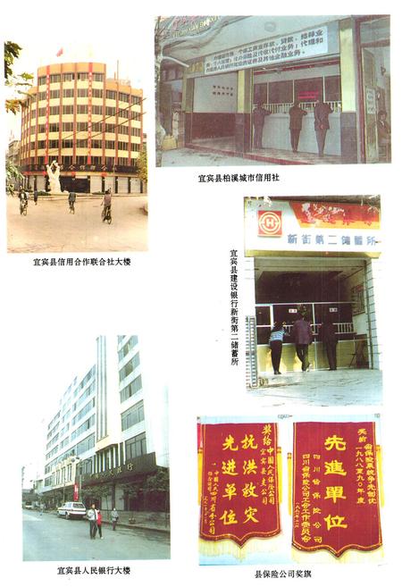 《宜宾县金融志》.pdf电子版_四川省志插图4