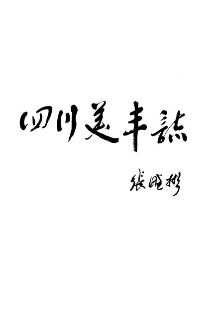 《《四川美丰志(1974-2009)》》.pdf电子版_四川省志插图4