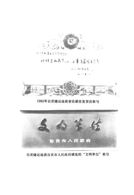 《自贡市图书发行志(1864-1985)》.pdf电子版_四川省志插图5