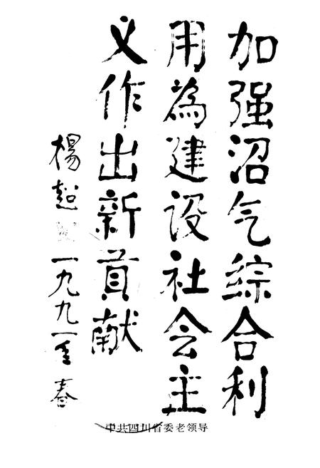 《四川省沼气志》.pdf电子版_四川省志插图1