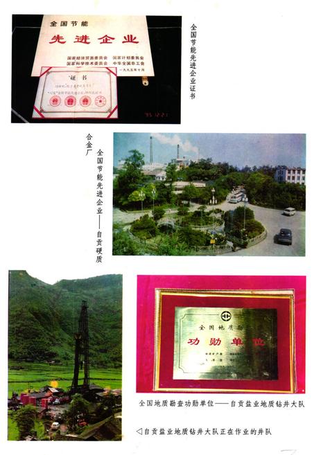 《《自贡市能源志》》.pdf电子版_四川省志插图3