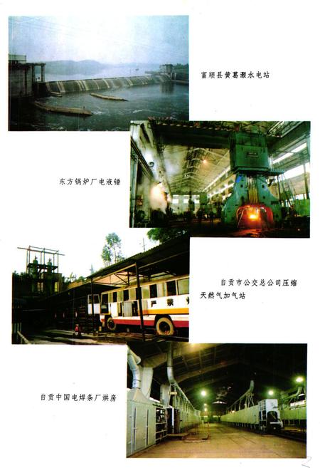 《《自贡市能源志》》.pdf电子版_四川省志插图5