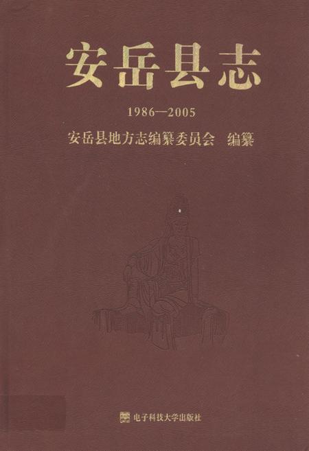 《安岳县志(1986-2005)》.pdf电子版_四川省志插图