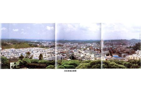 《安岳县志(1986-2005)》.pdf电子版_四川省志插图2