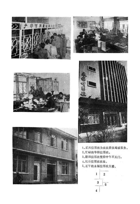 《双流县农村金融志(1911-1985)》.pdf电子版_四川省志插图5