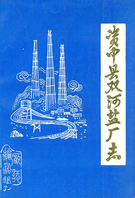 《资中县双河盐厂志》.pdf电子版_四川省志插图