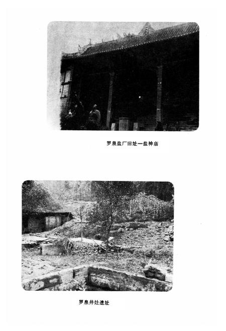 《资中县双河盐厂志》.pdf电子版_四川省志插图3