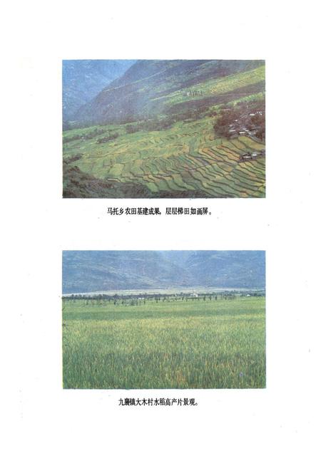 《汉源县农业局志》.pdf电子版_四川省志插图2