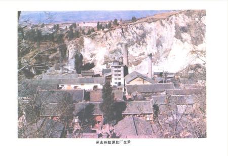 《盐源监厂志》.pdf电子版_四川省志插图1
