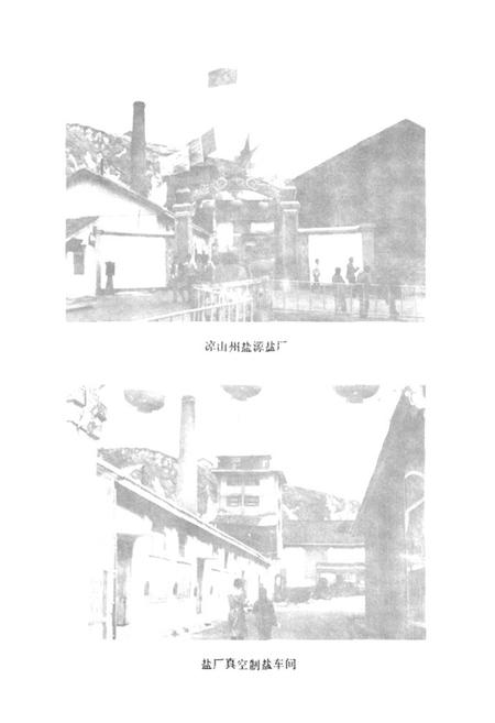 《盐源监厂志》.pdf电子版_四川省志插图2