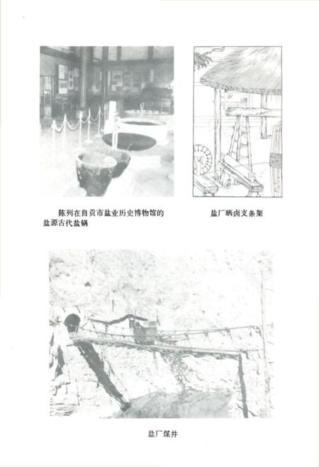 《盐源监厂志》.pdf电子版_四川省志插图4