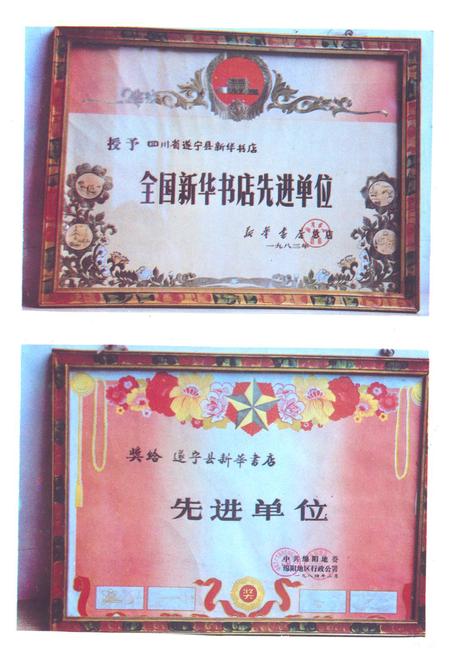 《遂宁图书发行志》.pdf电子版_四川省志插图4