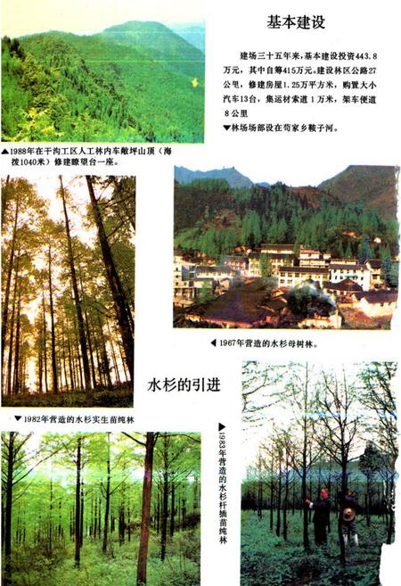 《崇庆县综合林场场志》.pdf电子版_四川省志插图2 《崇庆县综合林场场志》.pdf电子版_四川省志插图2