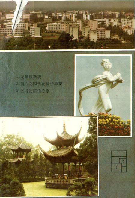 《龙泉驿区文化志》.pdf电子版_四川省志插图2