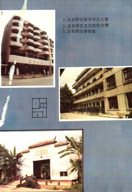 《龙泉驿区文化志》.pdf电子版_四川省志插图3