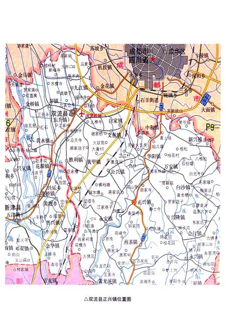 《双流县正兴镇志(2005年本)》.pdf电子版_四川省志插图2