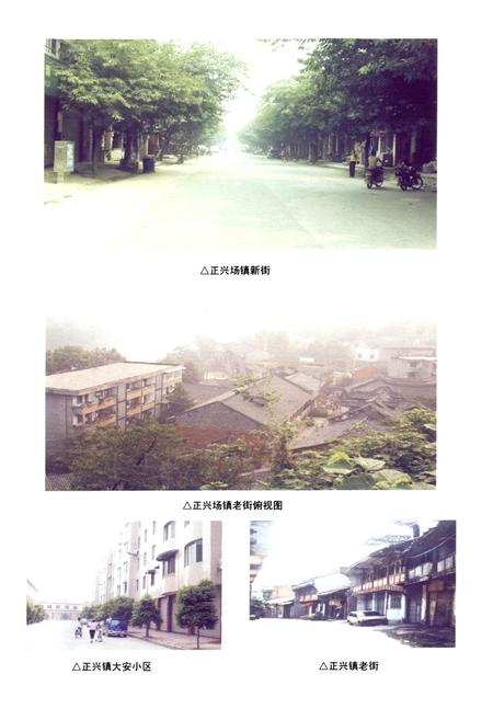 《双流县正兴镇志(2005年本)》.pdf电子版_四川省志插图4