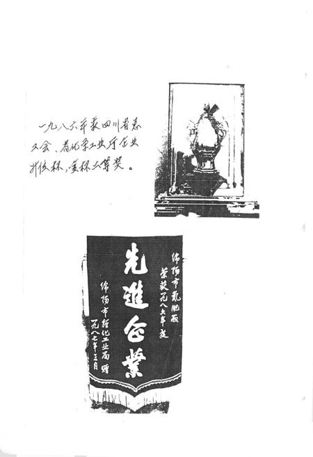 《绵阳市氮肥厂志(1964-1987)》.pdf电子版_四川省志插图3