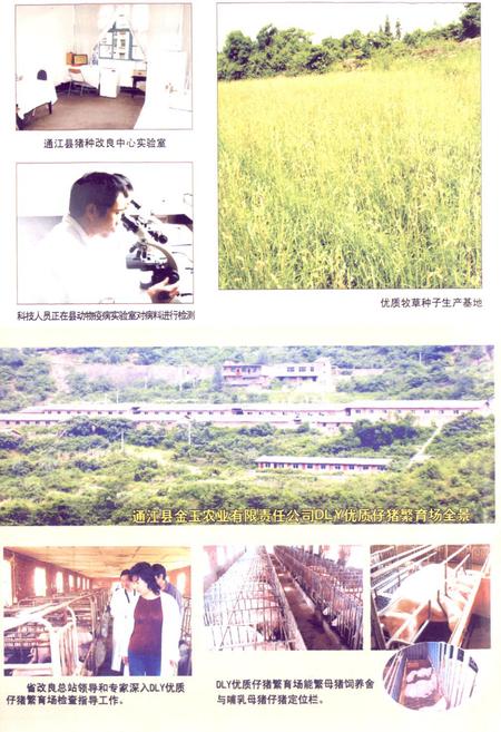 《通江县畜牧食品志(1986-2003年)》.pdf电子版_四川省志插图3