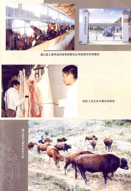 《通江县畜牧食品志(1986-2003年)》.pdf电子版_四川省志插图4