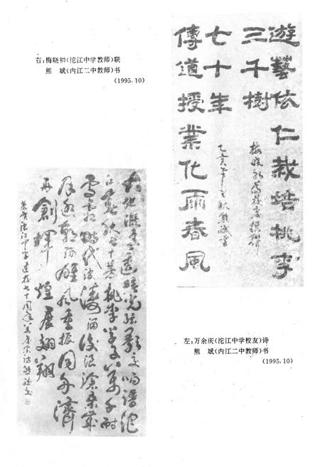 《四川省内江市第二中学(沱江中学)校志(1925-1995)》.pdf电子版_四川省志插图5
