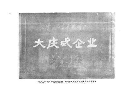《仁寿县印刷厂志》.pdf电子版_四川省志插图3