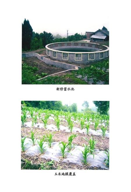 《犍为县新盛乡志》.pdf电子版_四川省志插图4 《犍为县新盛乡志》.pdf电子版_四川省志插图4