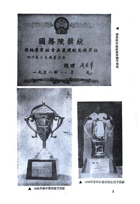 《三台县供销合作社志》.pdf电子版_四川省志插图5 《三台县供销合作社志》.pdf电子版_四川省志插图5