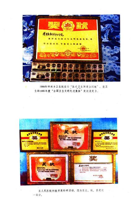 《蓬安县卫生志》.pdf电子版_四川省志插图5 《蓬安县卫生志》.pdf电子版_四川省志插图5