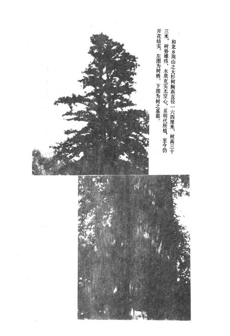 《雅安市林业志》.pdf电子版_四川省志插图3
