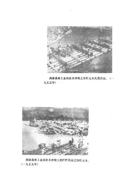 《雅安市林业志》.pdf电子版_四川省志插图4