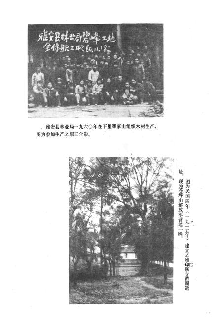 《雅安市林业志》.pdf电子版_四川省志插图5