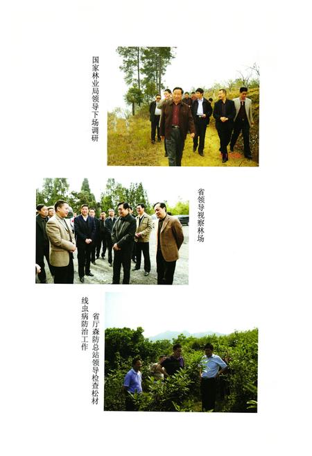 《邻水林业志(1986-2007)》.pdf电子版_四川省志插图3