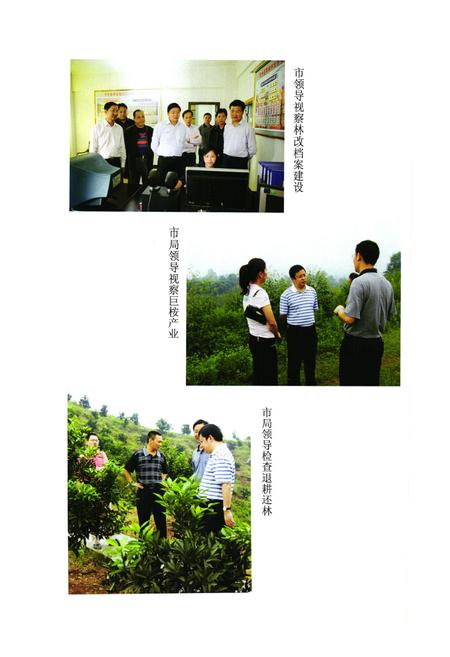 《邻水林业志(1986-2007)》.pdf电子版_四川省志插图4