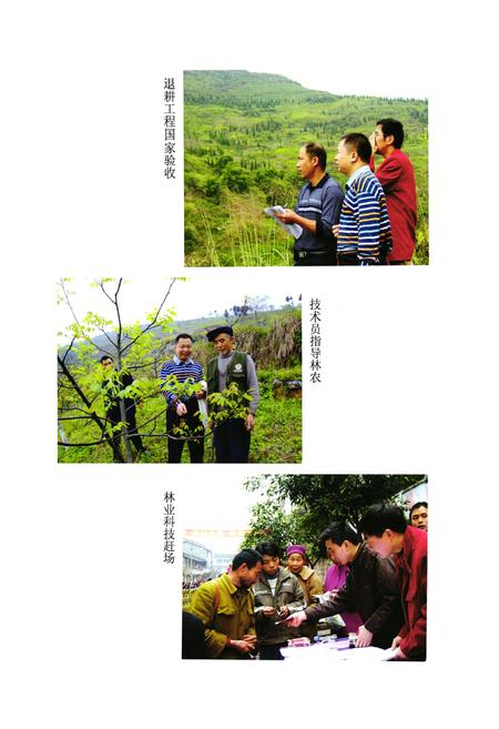 《邻水林业志(1986-2007)》.pdf电子版_四川省志插图5