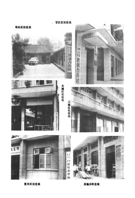 《夹江县供销合作社志》.pdf电子版_四川省志插图3