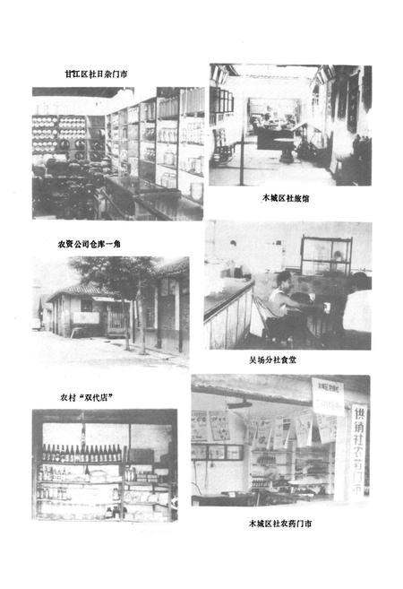 《夹江县供销合作社志》.pdf电子版_四川省志插图5