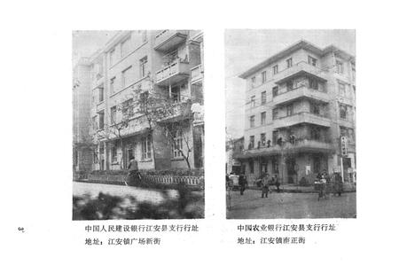 《江安县金融志》.pdf电子版_四川省志插图5