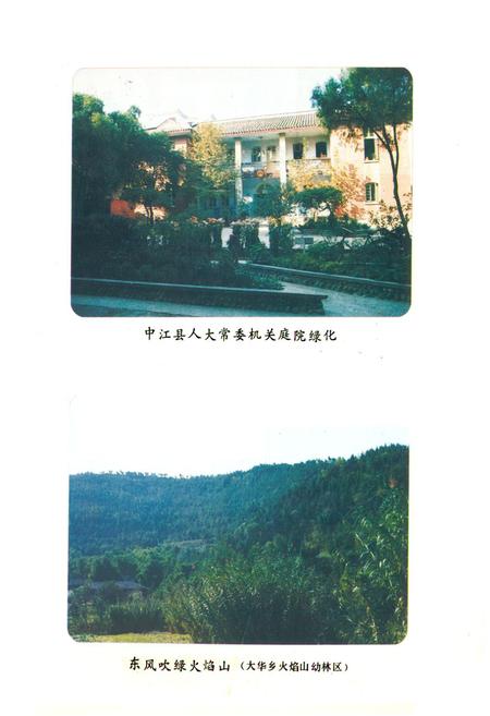 《中江县林业局志》.pdf电子版_四川省志预览图5