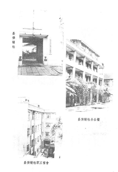 《德阳县供销合作社志》.pdf电子版_四川省志预览图3