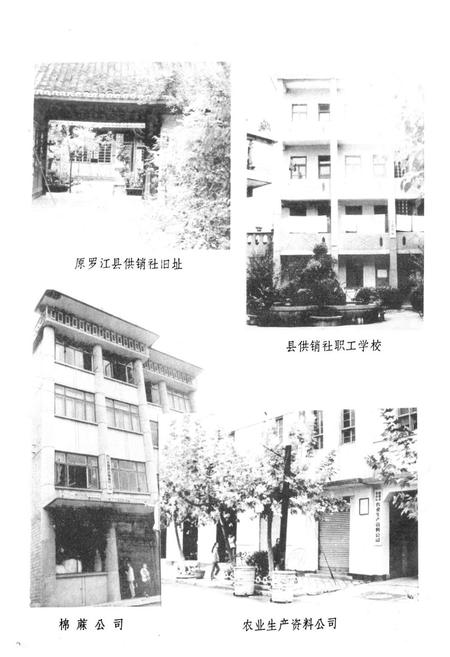 《德阳县供销合作社志》.pdf电子版_四川省志预览图4