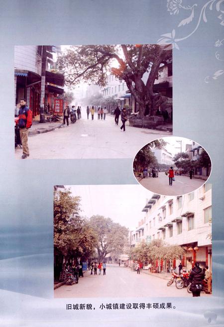 《乐至县良安镇志(1986-2005)》.pdf电子版_四川省志预览图5