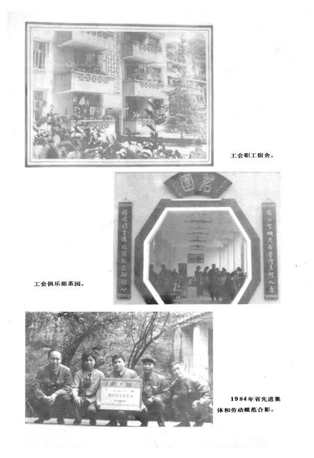 《峨眉县总工会志(1933-1987)》.pdf电子版_四川省志预览图4