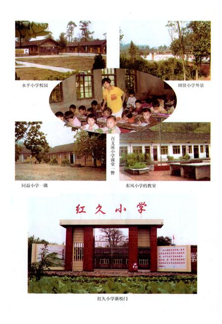 《犍为县孝姑镇小学校志(1950-2000年)》.pdf电子版_四川省志插图4