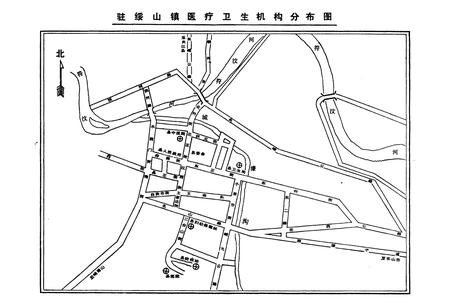《峨眉县卫生志》.pdf电子版_四川省志插图3