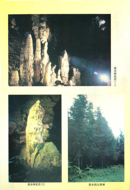 《泉水镇志(1949-1999)》.pdf电子版_四川省志插图5