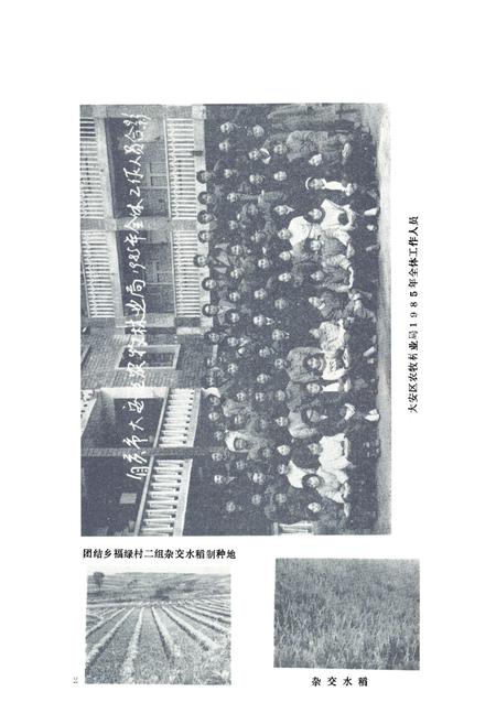 《自贡市大安区农牧林业志》.pdf电子版_四川省志插图5 《自贡市大安区农牧林业志》.pdf电子版_四川省志插图5